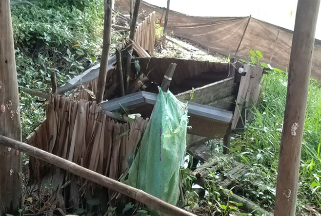 屋外にある木製の簡易トイレが崩れかけており、衛生状態が悪く、周囲は草木に覆われている。